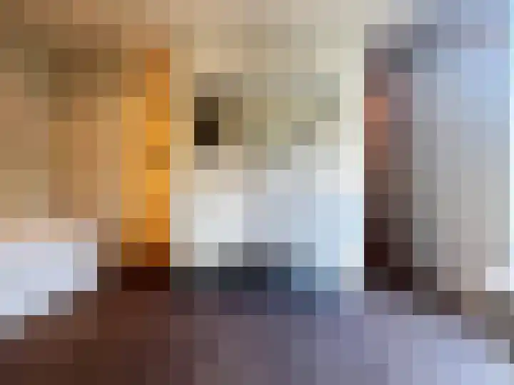 Veilig Oord 13 Bladel thumbnail 27