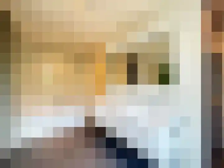 Veilig Oord 13 Bladel thumbnail 29