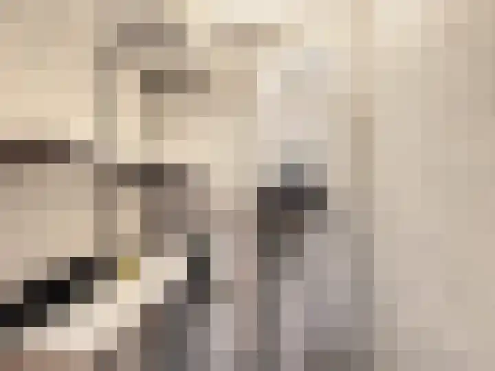 Veilig Oord 13 Bladel thumbnail 33
