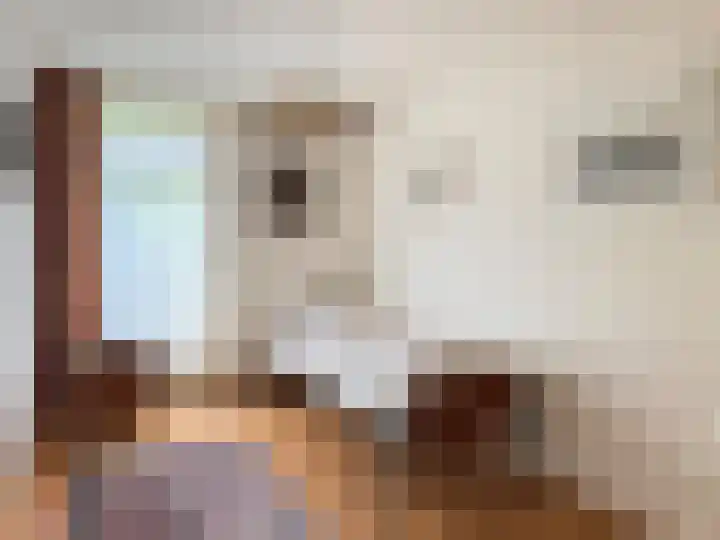 Veilig Oord 13 Bladel thumbnail 34