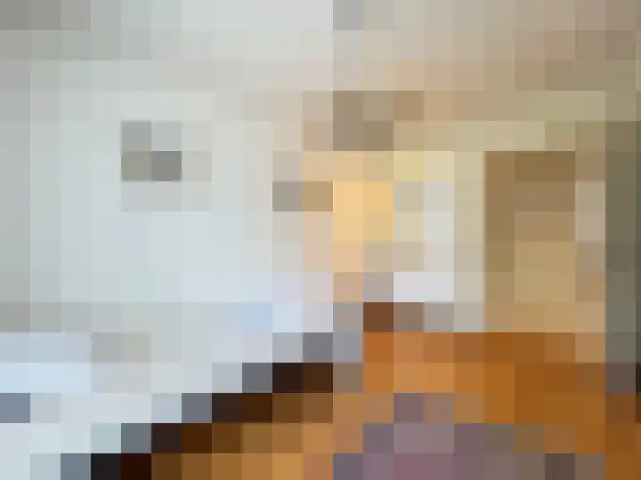 Veilig Oord 13 Bladel thumbnail 35