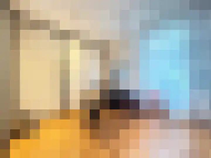 Veilig Oord 13 Bladel thumbnail 36