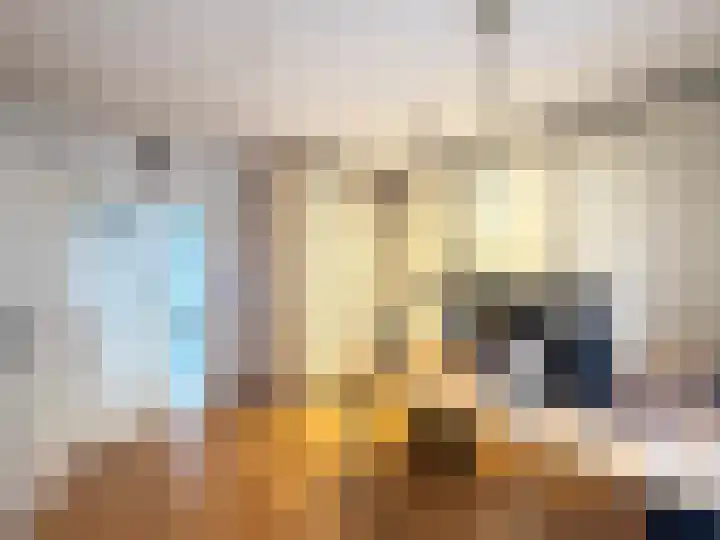 Veilig Oord 13 Bladel thumbnail 37
