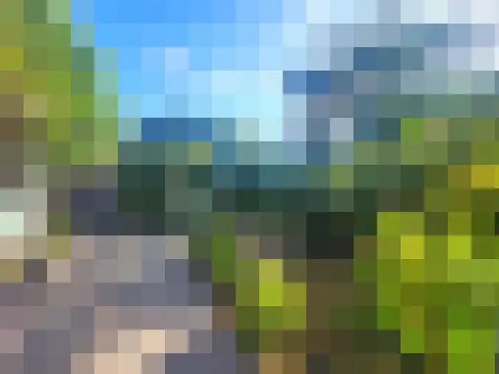 Veilig Oord 13 Bladel thumbnail 4
