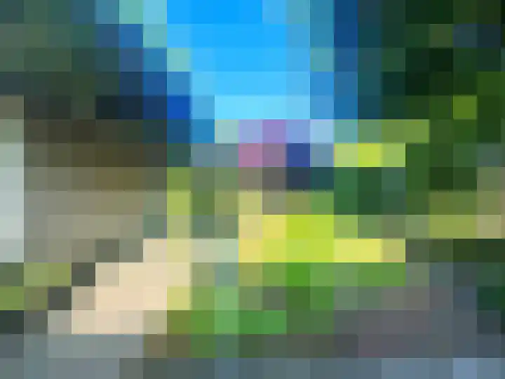 Veilig Oord 13 Bladel thumbnail 6