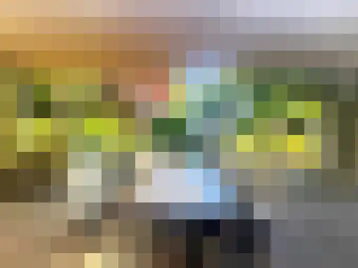 Veilig Oord 13 Bladel thumbnail 7