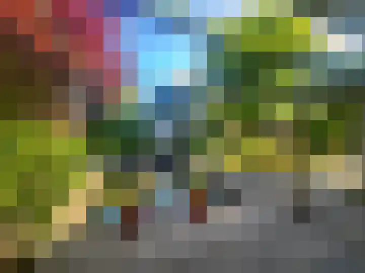 Veilig Oord 13 Bladel thumbnail 8