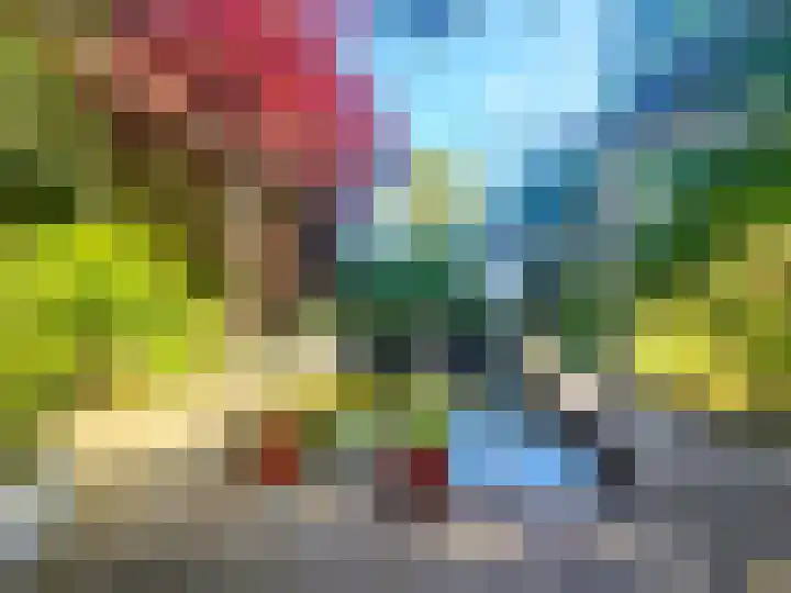Veilig Oord 13 Bladel thumbnail 9