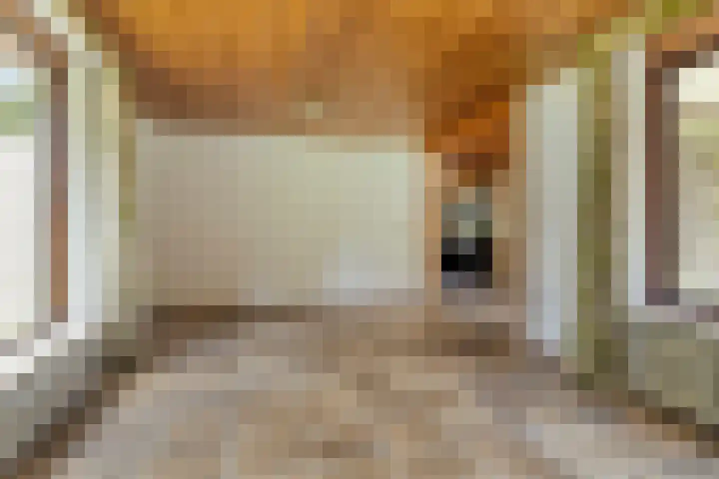 Veilig Oord 18 Bladel thumbnail 10