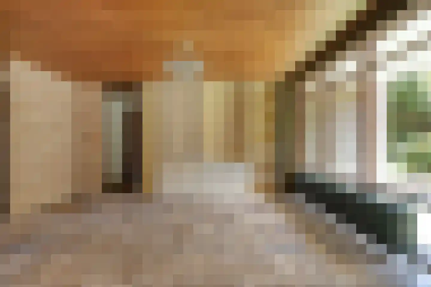 Veilig Oord 18 Bladel thumbnail 12