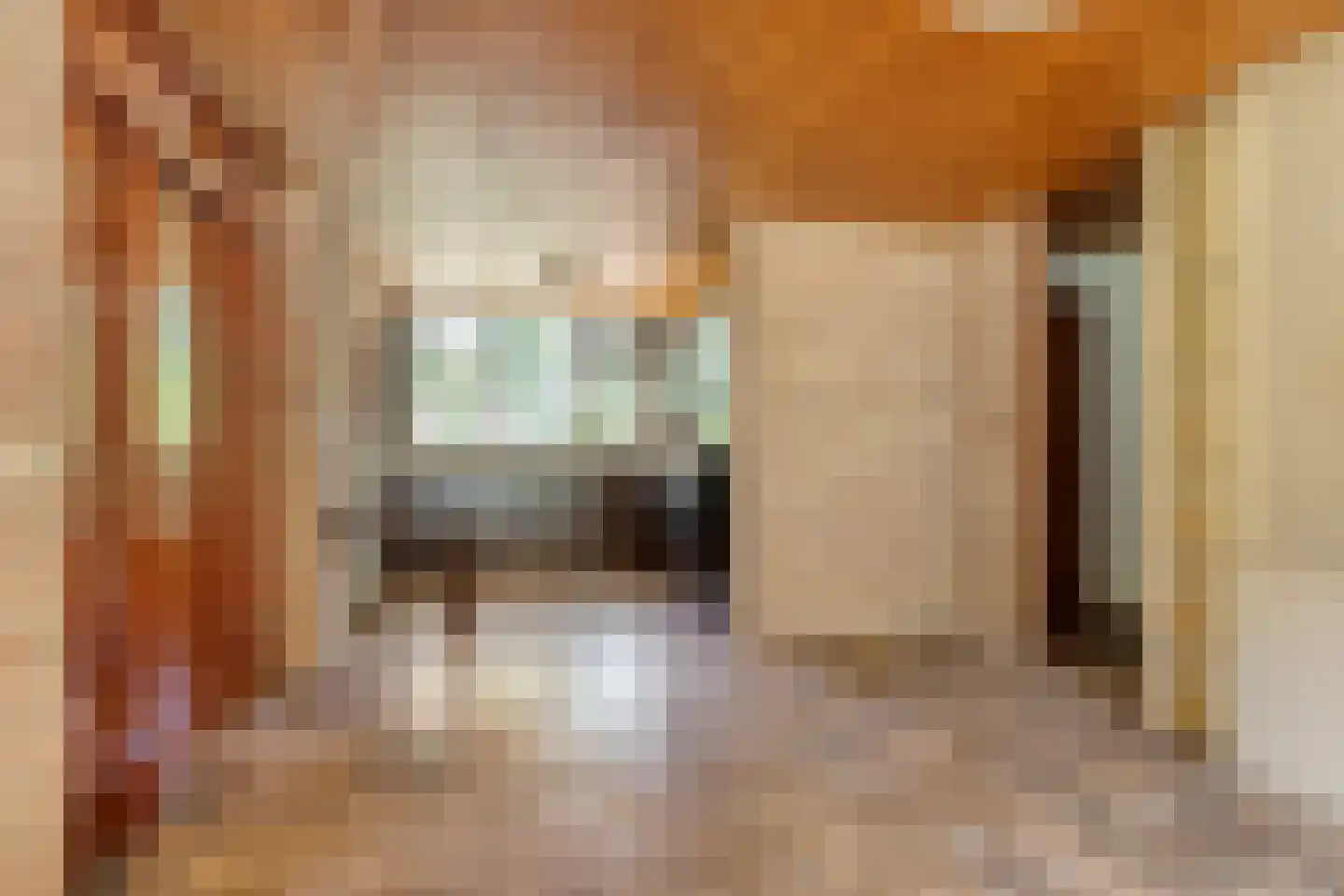 Veilig Oord 18 Bladel thumbnail 13