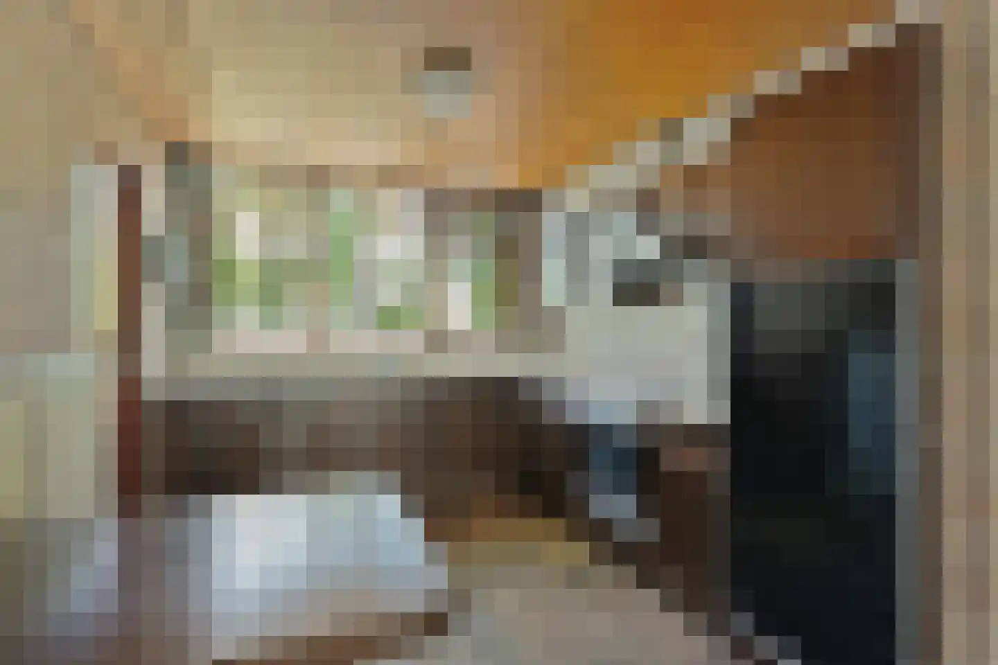 Veilig Oord 18 Bladel thumbnail 15