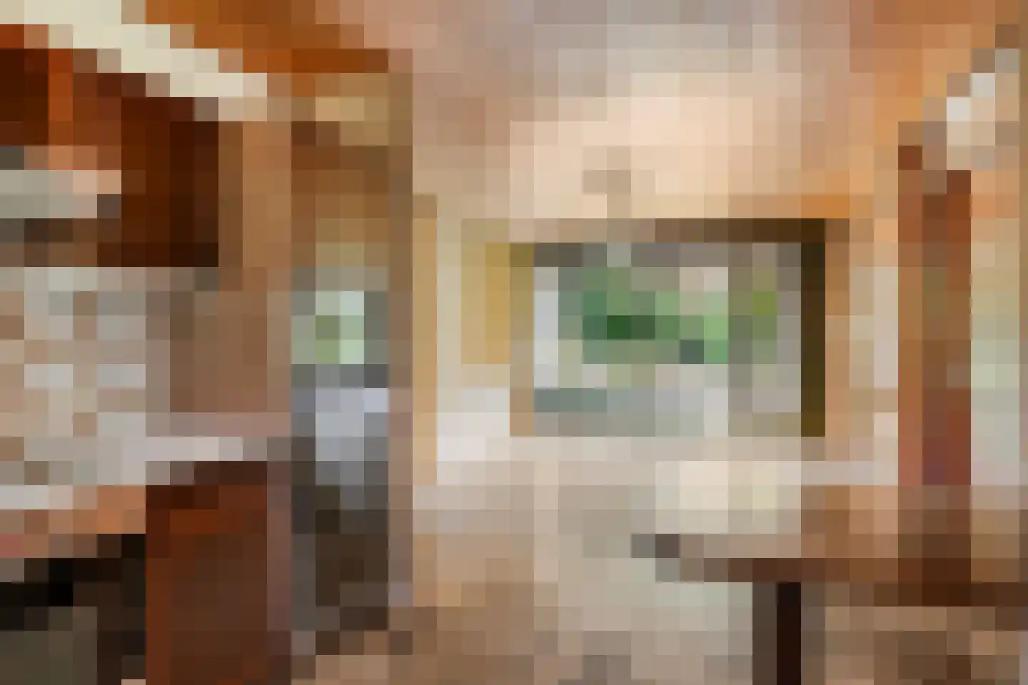 Veilig Oord 18 Bladel thumbnail 16
