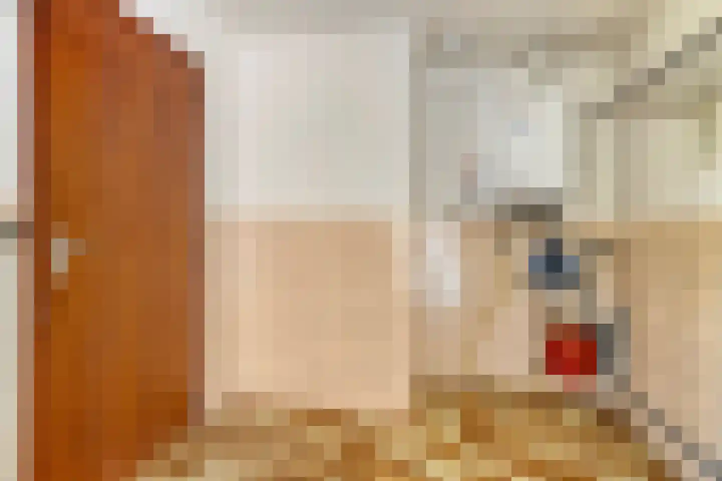 Veilig Oord 18 Bladel thumbnail 26