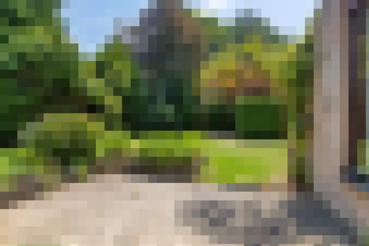 Veilig Oord 18 Bladel thumbnail 31