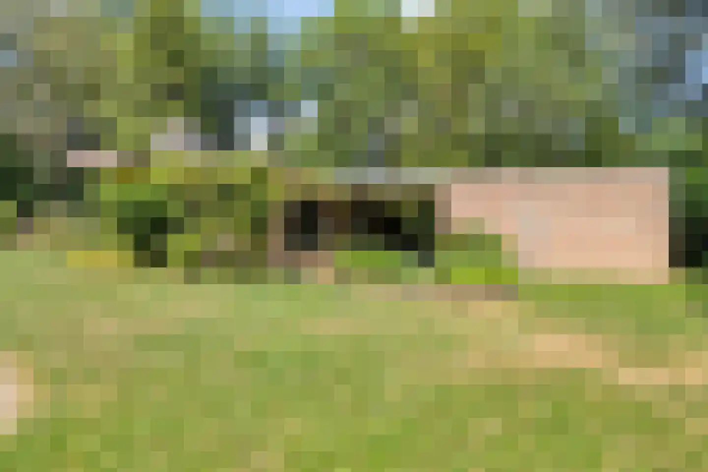 Veilig Oord 18 Bladel thumbnail 33