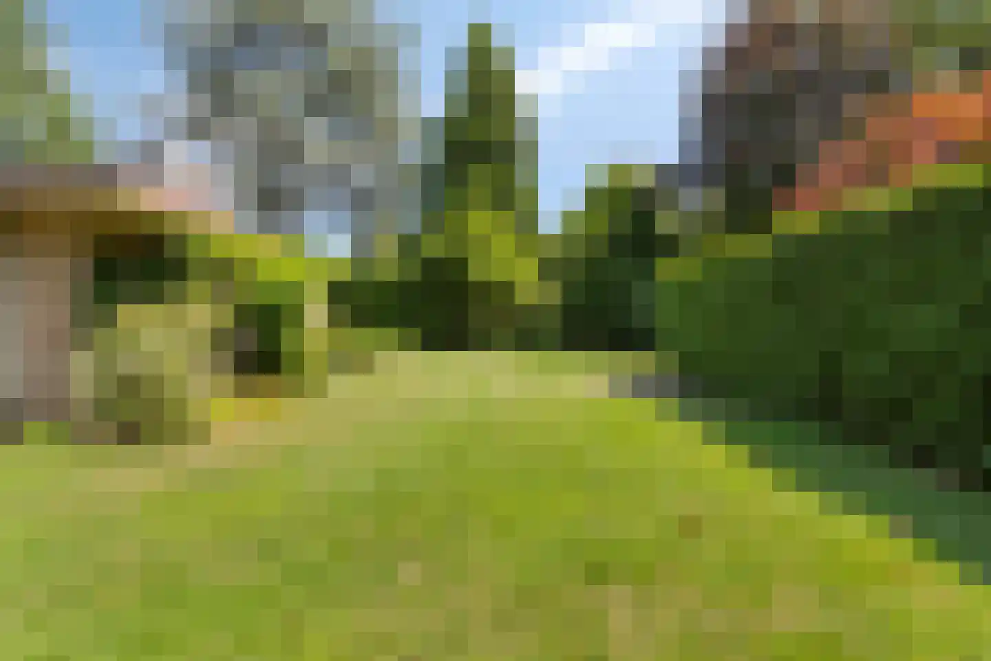 Veilig Oord 18 Bladel thumbnail 34