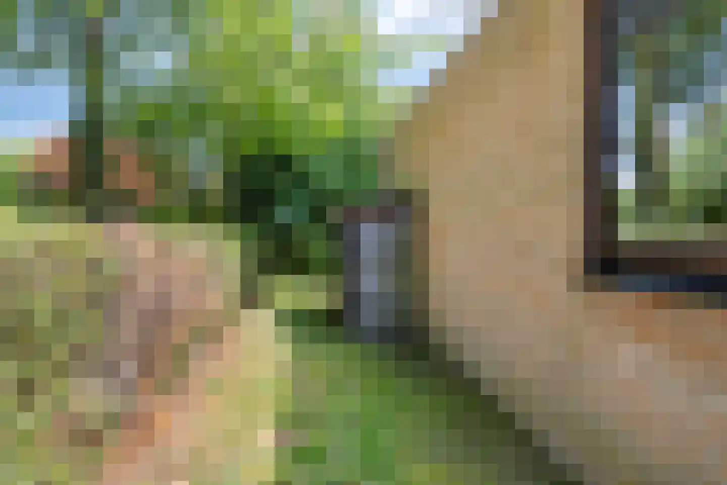 Veilig Oord 18 Bladel thumbnail 36