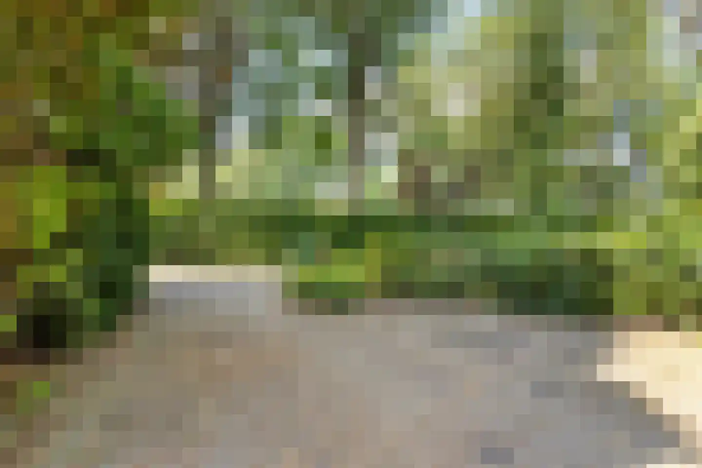 Veilig Oord 18 Bladel thumbnail 37