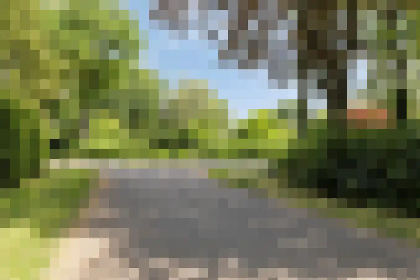 Veilig Oord 18 Bladel thumbnail 39