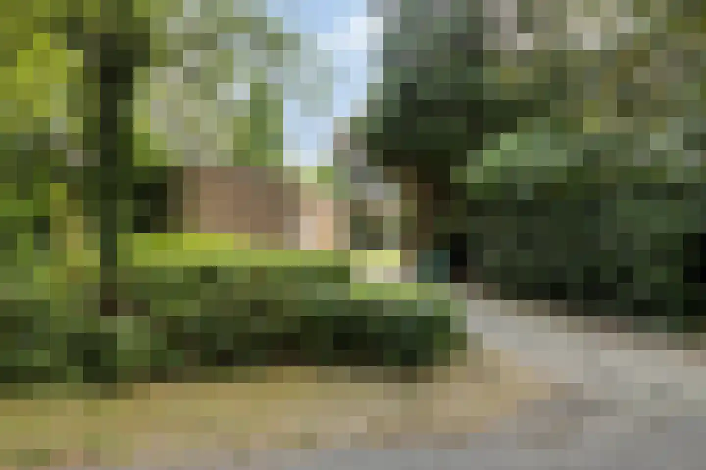 Veilig Oord 18 Bladel thumbnail 4