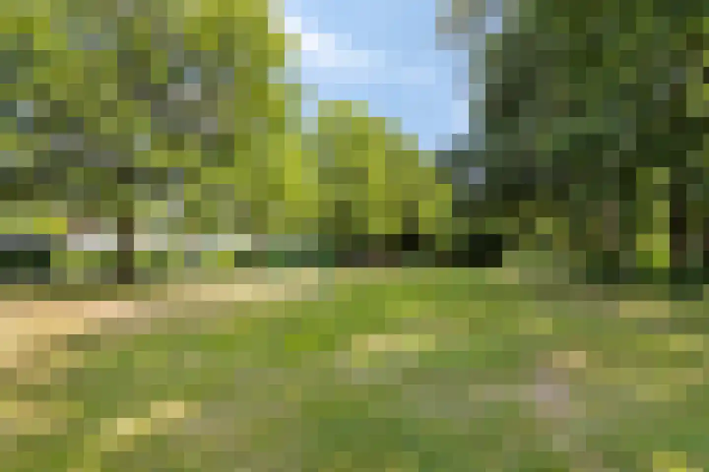 Veilig Oord 18 Bladel thumbnail 40