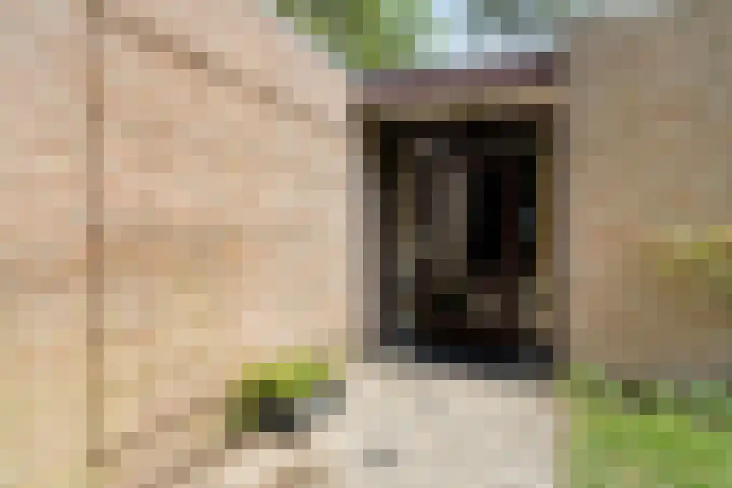 Veilig Oord 18 Bladel thumbnail 5