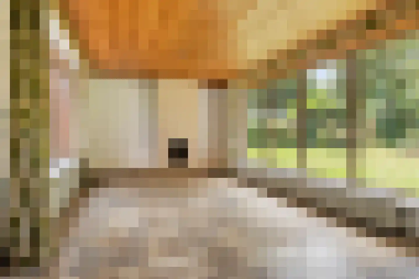 Veilig Oord 18 Bladel thumbnail 8
