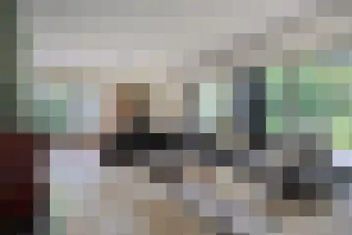 Veilig Oord 44 Bladel thumbnail 10