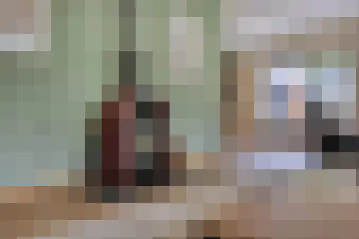 Veilig Oord 44 Bladel thumbnail 11