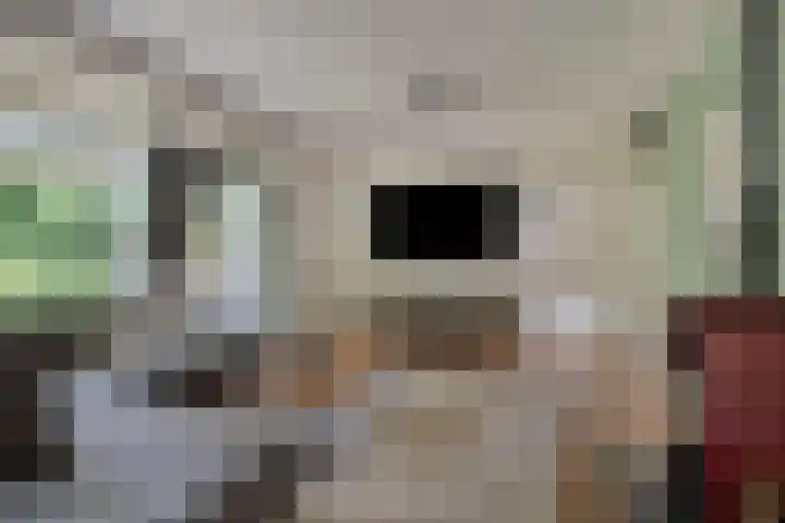 Veilig Oord 44 Bladel thumbnail 12