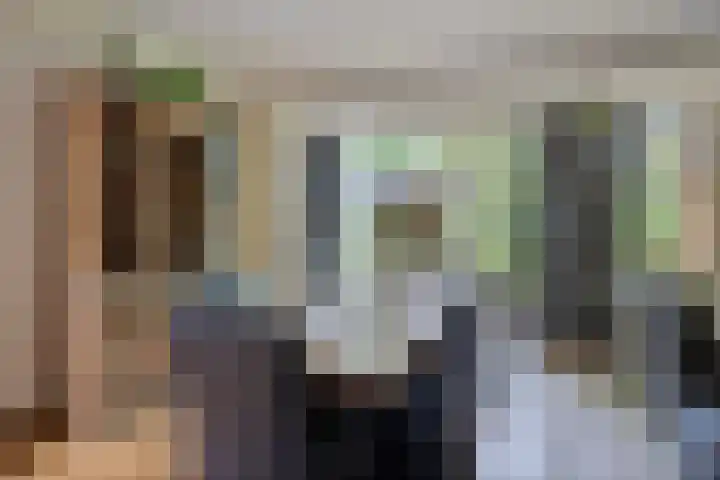 Veilig Oord 44 Bladel thumbnail 13