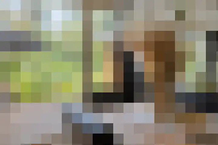 Veilig Oord 44 Bladel thumbnail 14