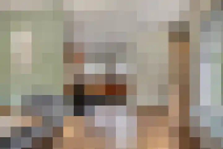 Veilig Oord 44 Bladel thumbnail 15