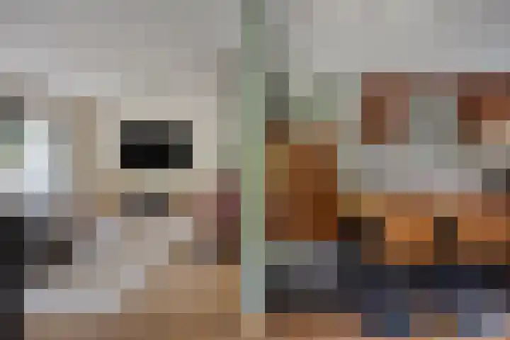 Veilig Oord 44 Bladel thumbnail 16