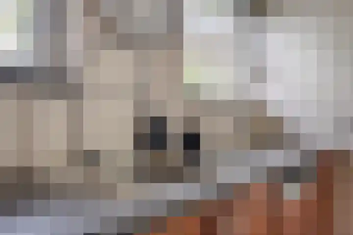 Veilig Oord 44 Bladel thumbnail 18