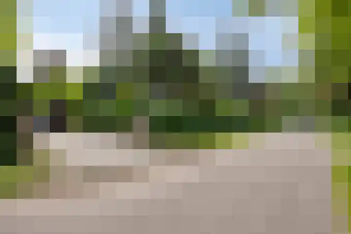 Veilig Oord 44 Bladel foto 2