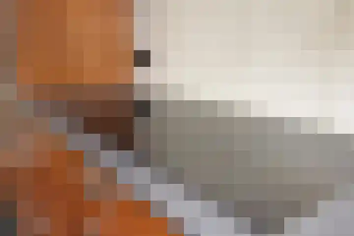 Veilig Oord 44 Bladel thumbnail 20