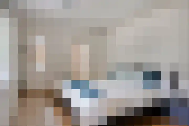 Veilig Oord 44 Bladel thumbnail 25