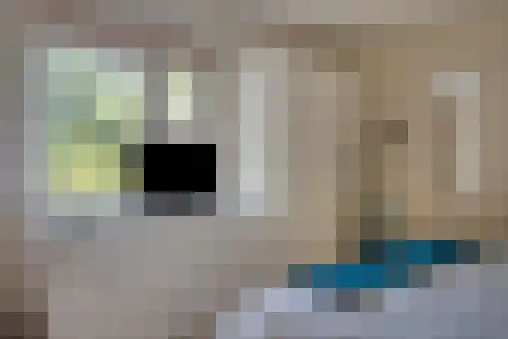 Veilig Oord 44 Bladel thumbnail 26