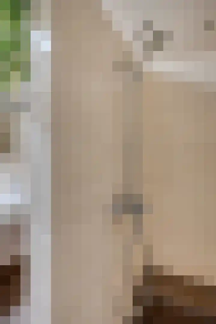 Veilig Oord 44 Bladel thumbnail 29