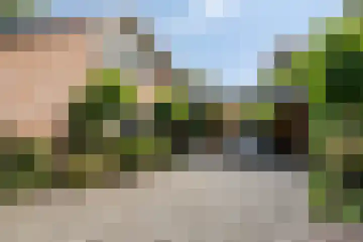 Veilig Oord 44 Bladel foto 3