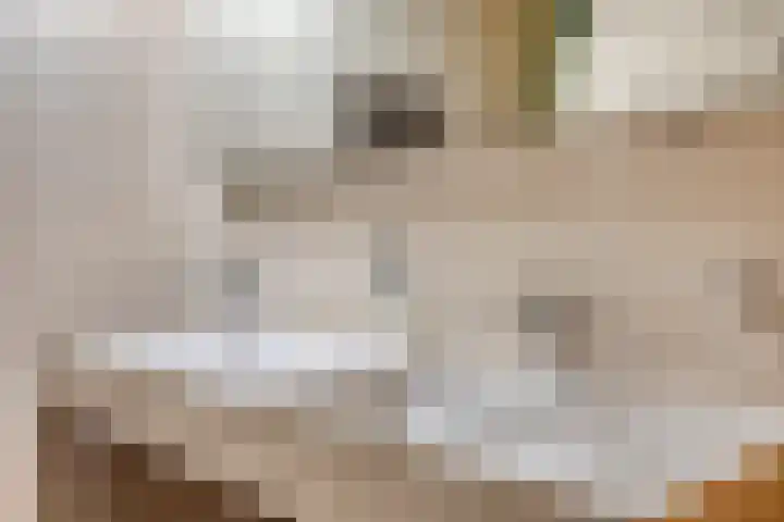 Veilig Oord 44 Bladel thumbnail 30
