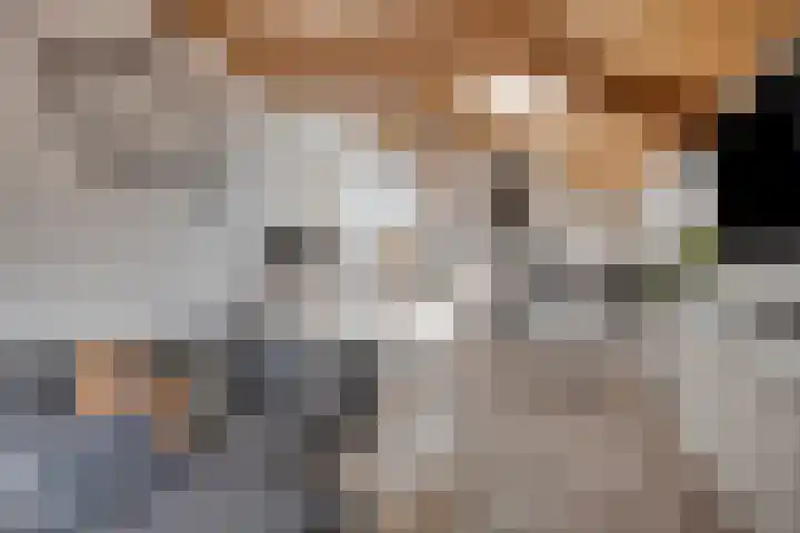 Veilig Oord 44 Bladel thumbnail 32