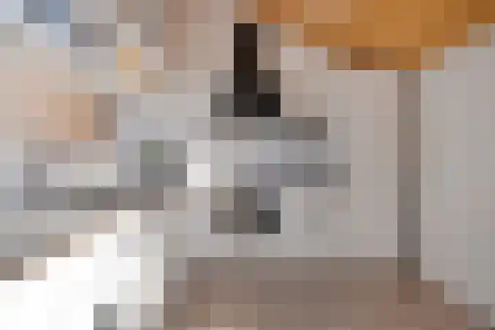 Veilig Oord 44 Bladel thumbnail 33