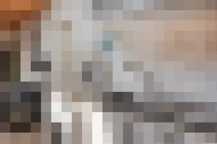 Veilig Oord 44 Bladel thumbnail 34