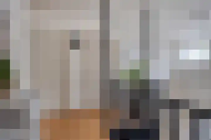 Veilig Oord 44 Bladel thumbnail 35