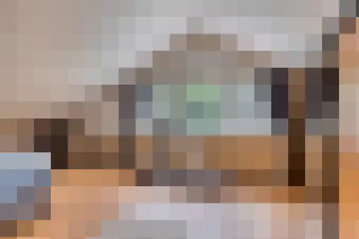 Veilig Oord 44 Bladel thumbnail 37