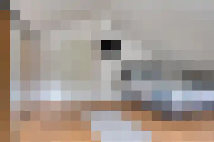Veilig Oord 44 Bladel thumbnail 38