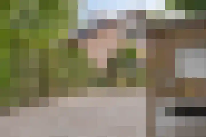 Veilig Oord 44 Bladel thumbnail 4